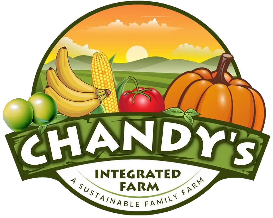 Chandy's Farm Model